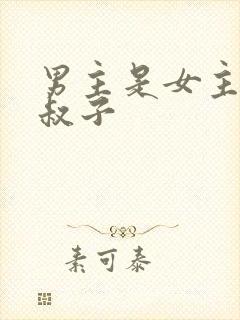 男主是女主的小叔子