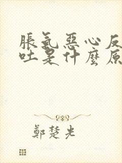 胀气恶心反胃想吐是什么原因