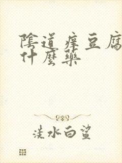 阴道痒豆腐渣用什么药