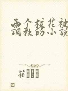 两个校花被富豪调教的小说