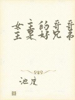 女主的哥哥和男主是好兄弟的小说