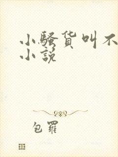 小骚货叫不出来小说