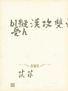 bl糙汉攻双性受h
