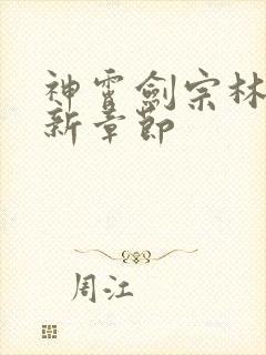 神霄剑宗林枫最新章节