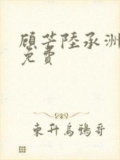 顾芒陆承洲小说免费