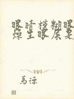 眼睛模糊眼角干燥生眼屎是什么原因