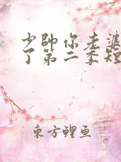 少帅你老婆又跑了第二季短剧