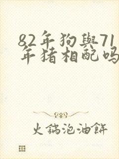 82年狗与71年猪相配吗