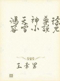 鸿天神尊徐年慕容雪小说免费阅读