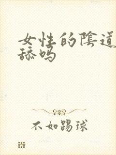 女性的阴道可以舔吗