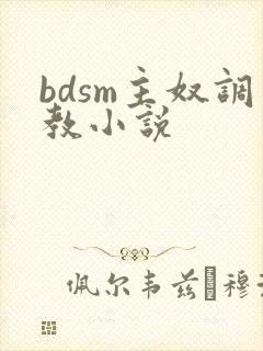 bdsm主奴调教小说