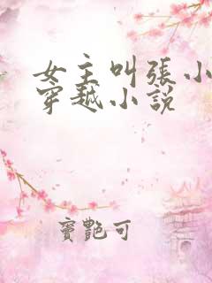 女主叫张小婉的穿越小说