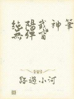 纯阳武神笔趣阁无弹窗
