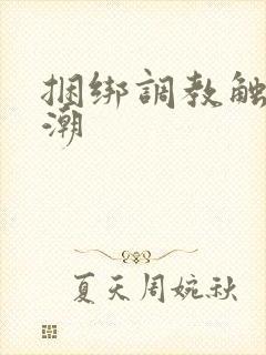 捆绑调教触手高潮