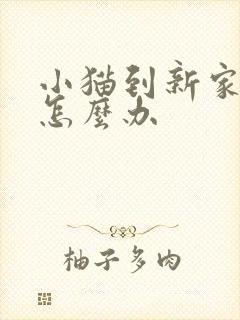 小猫到新家乱尿怎么办