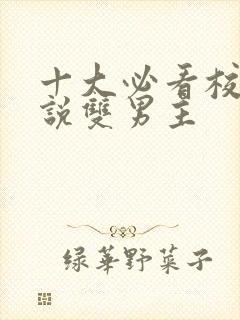 十大必看校园小说双男主