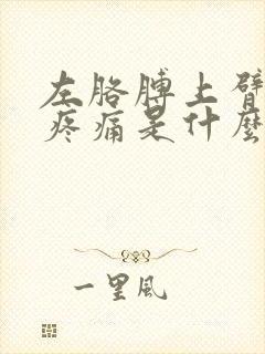 左胳膊上臂肌肉疼痛是什么原因