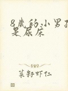 8岁的小男孩总是尿床