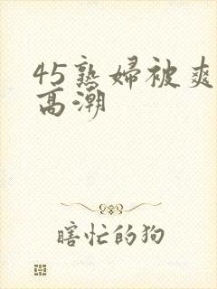 45熟妇被爽到高潮