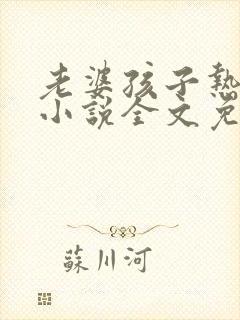 老婆孩子热炕头小说全文免费阅读