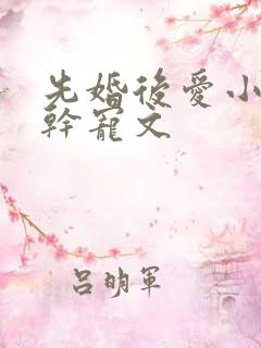 先婚后爱小说高干宠文