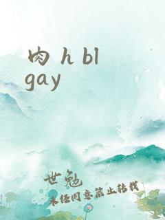 肉 h bl gay