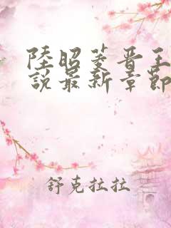 陆昭菱晋王的小说最新章节