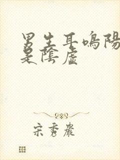 男生耳鸣阳虚还是阴虚