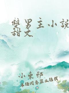 双男主小说推荐甜文