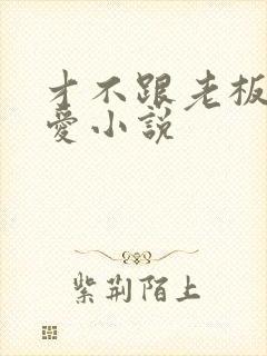 才不跟老板谈恋爱小说