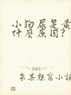 小狗尿是黄的是什么原因?