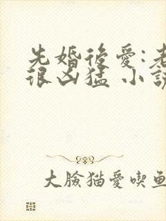 先婚后爱:老公很凶猛 小说免费阅读