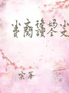 小文后妈小说免费阅读全文最新章节