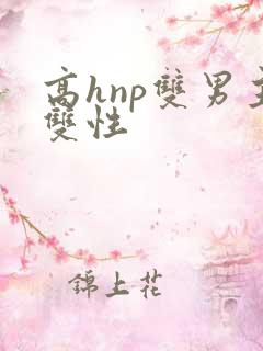 高hnp双男主双性