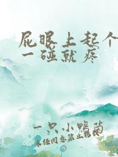 屁眼上起个疙瘩一碰就疼