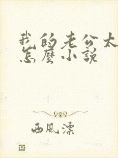 我的老公太凶猛怎么小说