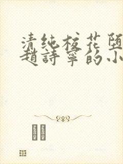 清纯校花堕落记赵诗宁的小说全文阅