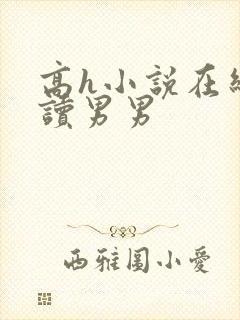 高h小说在线阅读男男