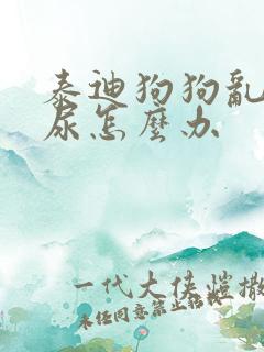 泰迪狗狗乱拉乱尿怎么办