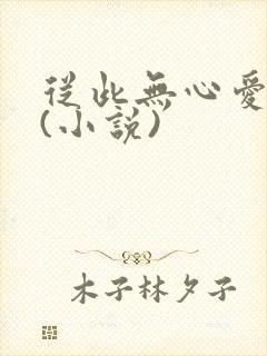 从此无心爱良夜(小说)