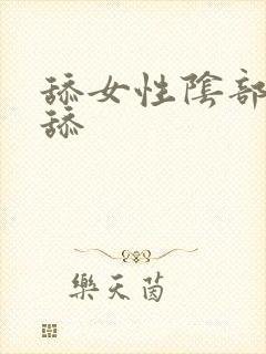 舔女性阴部怎么舔