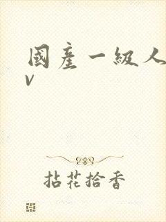 国产一级人妖av