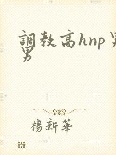 调教高hnp男男