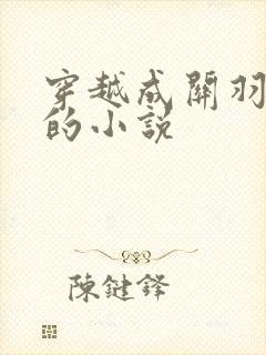 穿越成关羽儿子的小说