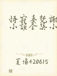 恃宠秦梵谢砚礼小说全集小说