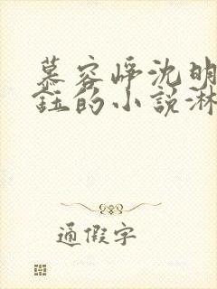 慕容峥沈明昭萧钰的小说淋雪也算共