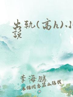 出轨(高h)小说