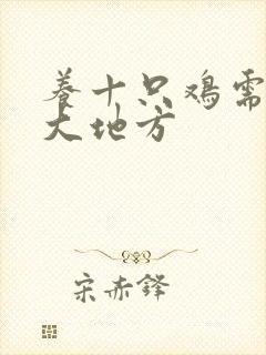 养十只鸡需要多大地方