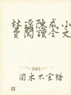 林瑶陈成小说免费阅读全文无弹窗