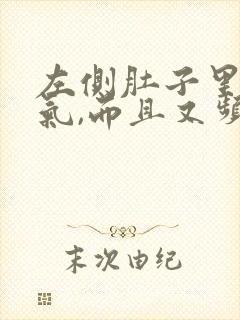 左侧肚子里有胀气,而且又频繁放屁